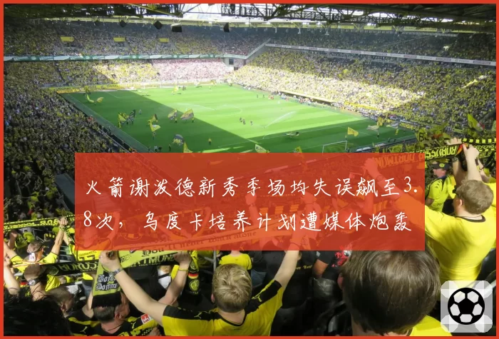 火箭谢泼德新秀季场均失误飙至3.8次,乌度卡培养计划遭媒体炮轰