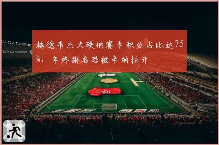 梅德韦杰夫硬地赛季积分占比达75%，年终排名恐被辛纳拉开