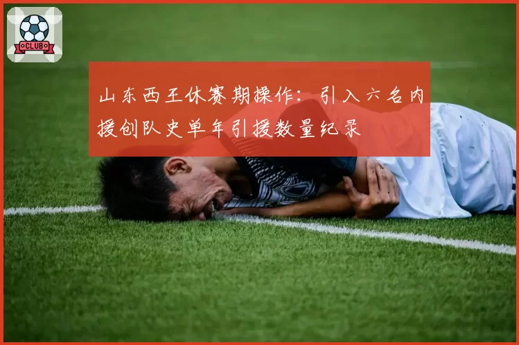 山东西王休赛期操作:引入六名内援创队史单年引援数量纪录