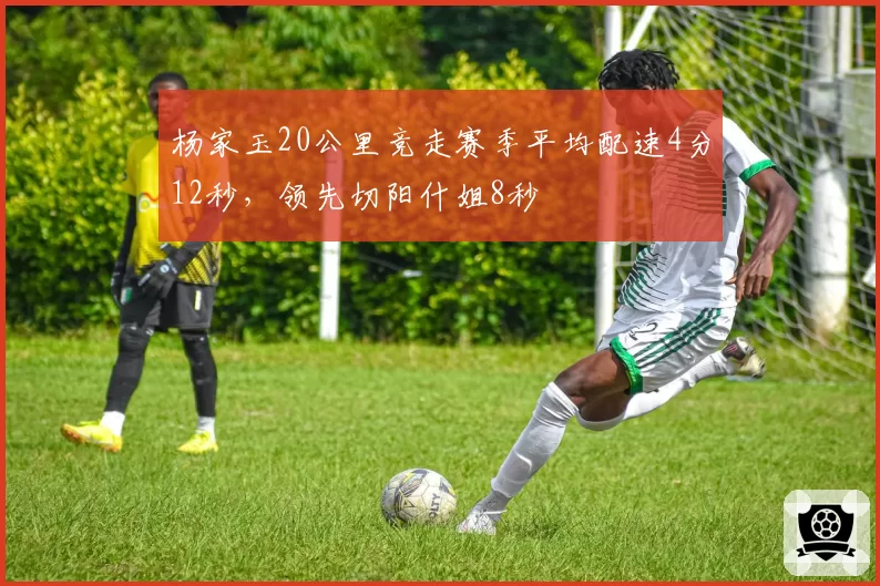 杨家玉20公里竞走赛季平均配速4分12秒,领先切阳什姐8秒
