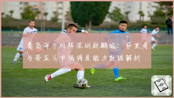 青岛海牛对阵深圳新鹏城：萨里奇与蒂亚戈中场调度能力数据解析